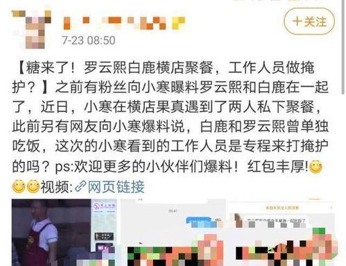营销号爆料白鹿视频,剧情反转引期待！  第1张