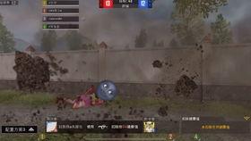 最新爆料和平精英军需,神秘爆料揭示全新战装与道具！  第3张