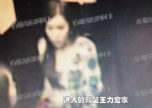 伟哥哥前妻爆料视频,揭秘婚姻内幕与情感纠葛 第1张 伟哥哥前妻爆料视频,揭秘婚姻内幕与情感纠葛 第1张